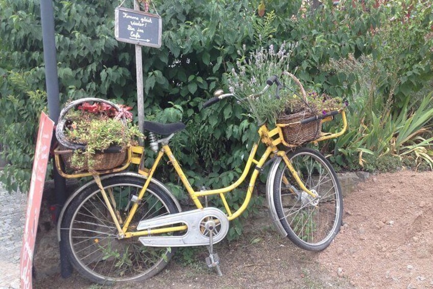 Wie schmeckt meine Stadt kulinarische Fahrradtour Knoblauchsland