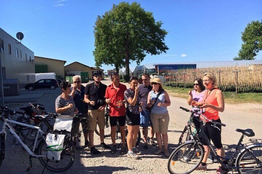 Wie schmeckt meine Stadt kulinarische Fahrradtour Erdbeeren Boss