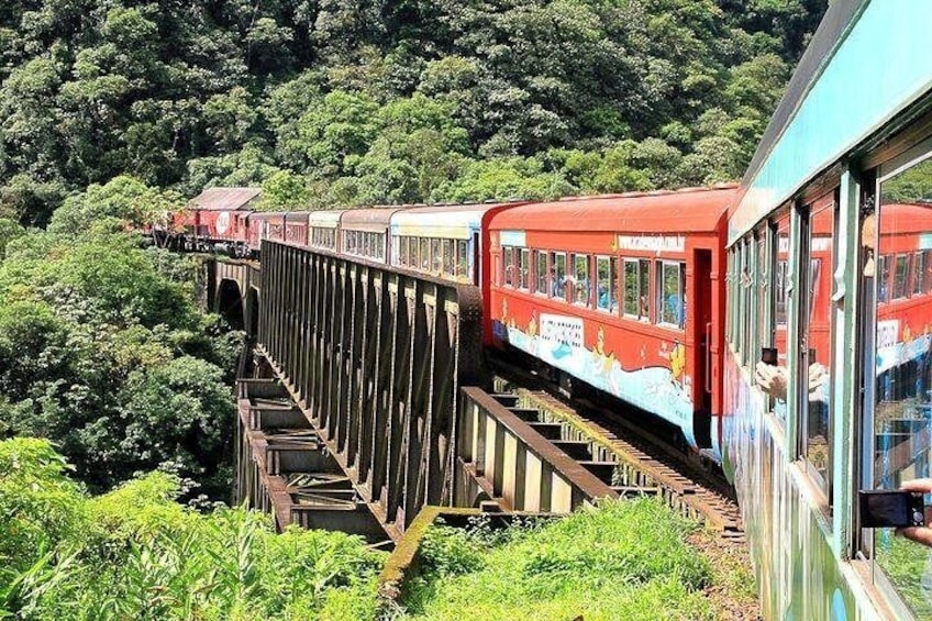 Serra do Mar, Antonina and Morretes Train Tour from Curitiba by Jens Tours