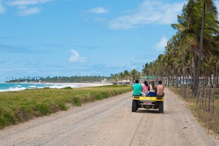 Porto de Galinhas Tour from Maragogi by Top Tours