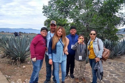 Tequila, Lemon and Salt Tour - Visiting Jalisco