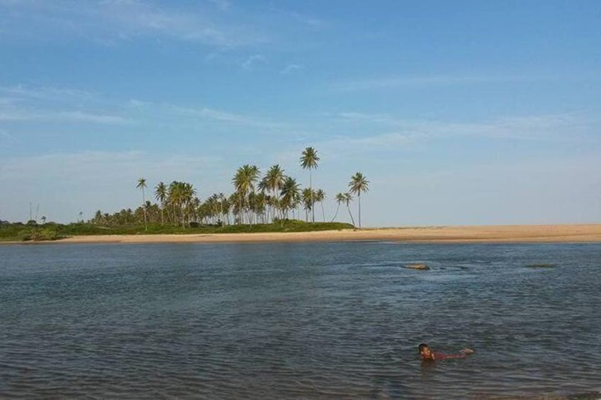 Private Beach Buggy Tour - Praia do Forte by Emytour