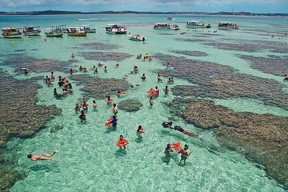 Tour to Maragogi from Maceió, including Natural pools by Edvantur