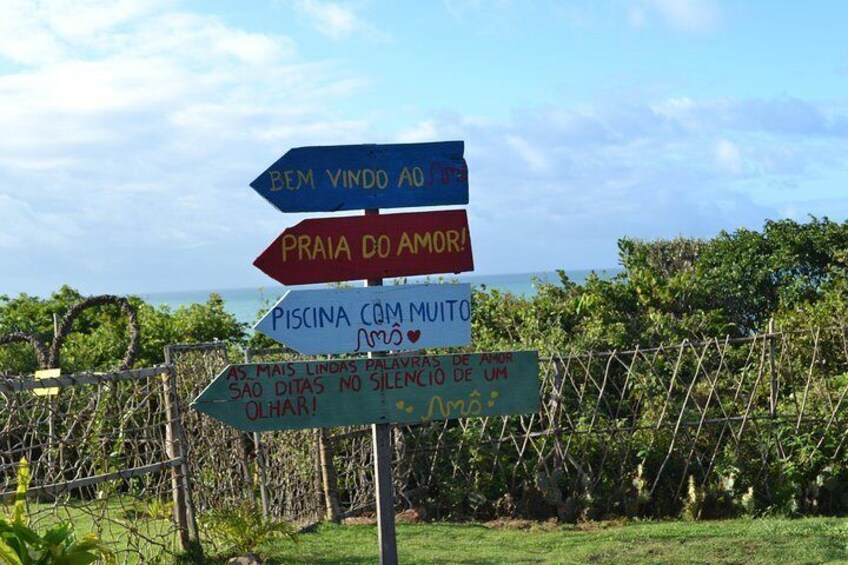 Pipa Beach Tour - Leaving Natal