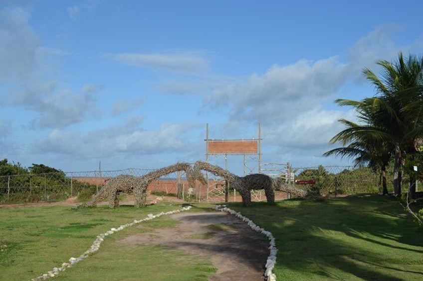 Pipa Beach Tour - Leaving Natal