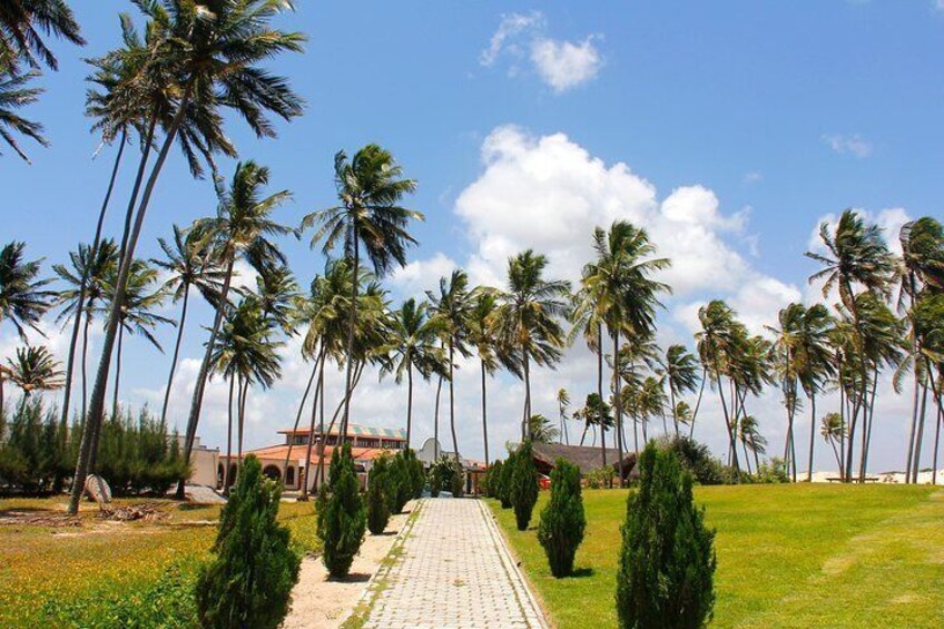 Barra de Punaú Tour - Departing from Natal