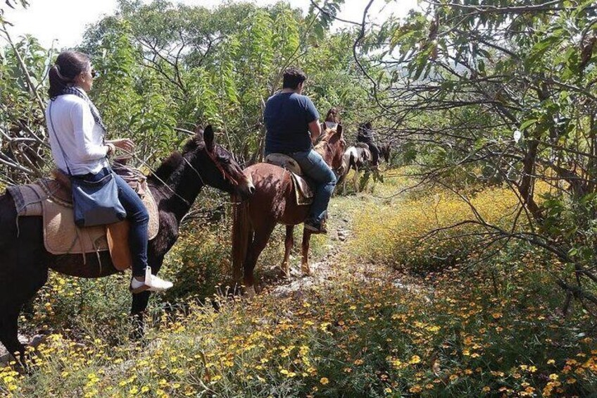 Horseback Riding in the Capulines