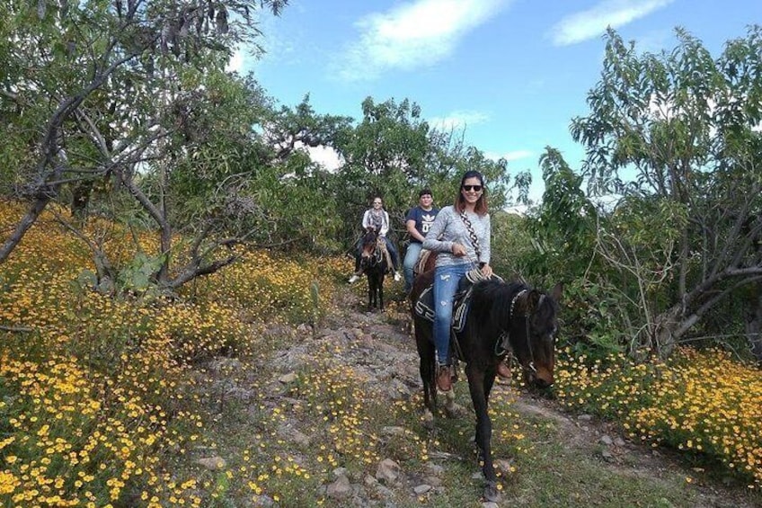 Horseback Riding in the Capulines