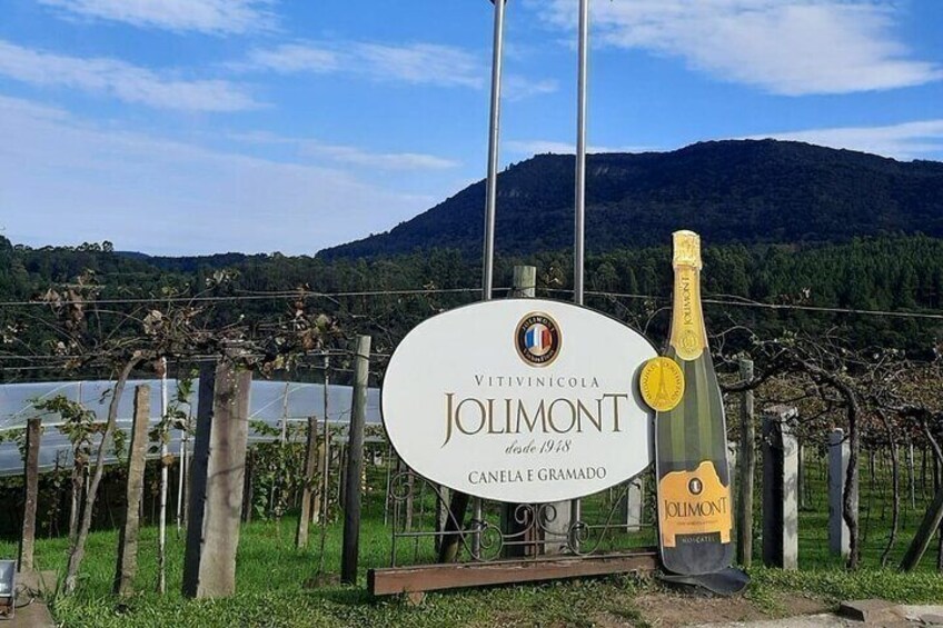 Jolimont wine tour + toast