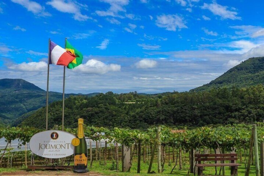 Jolimont wine tour + toast