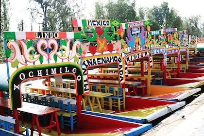 Floating Mexican party by Xochimilco, Open bar and snacks