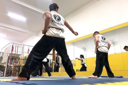 Kung Fu Class - 3x per week
