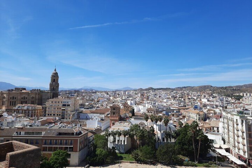 Private 3-Hour Málaga Food and Culture Tour with lunch included