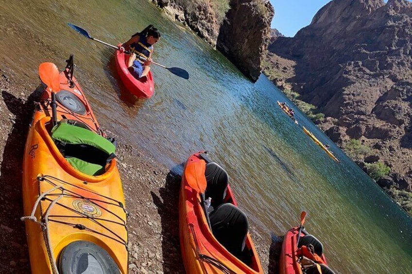 Full-Day Kayak Tour from Willow Beach with Pick Up