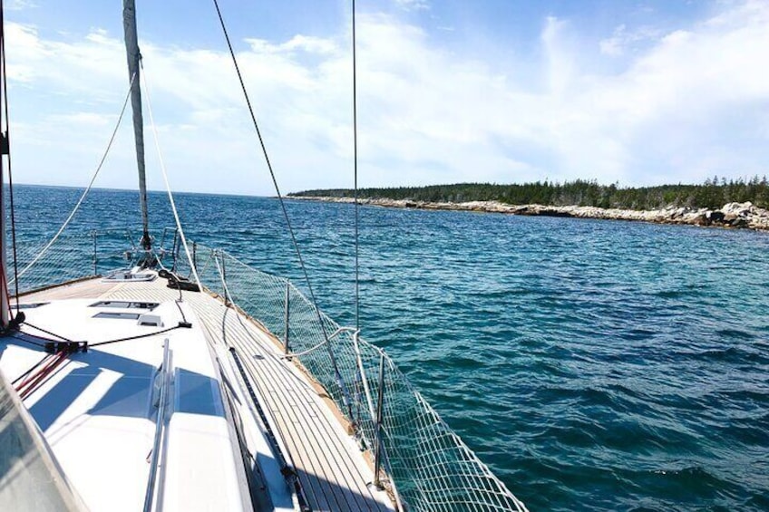 Small-Group Sailing Learning Experience in Halifax