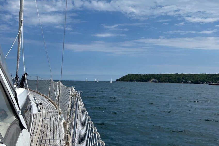 Small-Group Sailing Learning Experience in Halifax