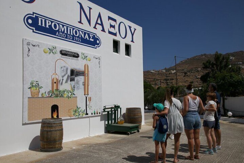 Citron Tasting and Distillery 1-Hour Guided Tour in Naxos