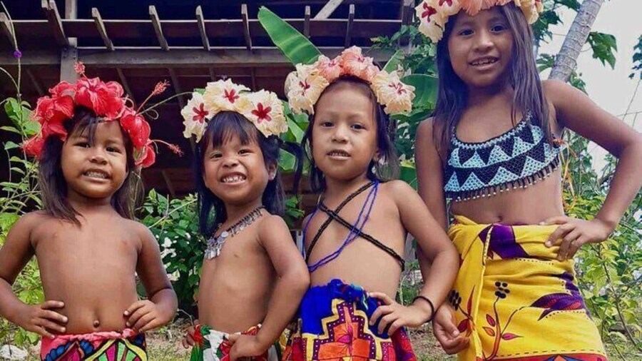 Embera Village Day Tour, Chagres River & Waterfalls + Lunch, Fruits & Water