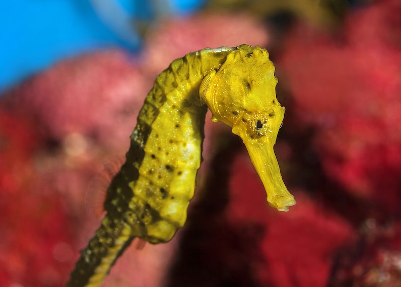 Aquarium de Barcelona