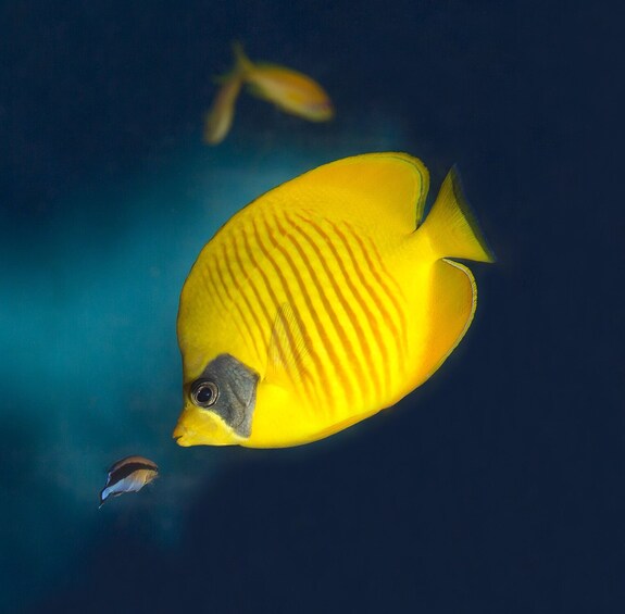 Aquarium de Barcelona