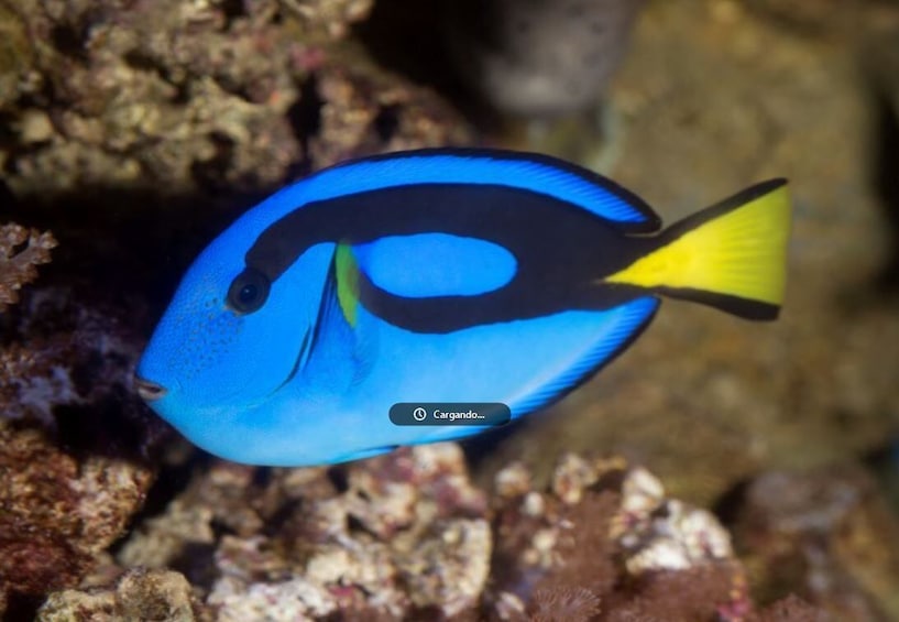 Aquarium de Barcelona