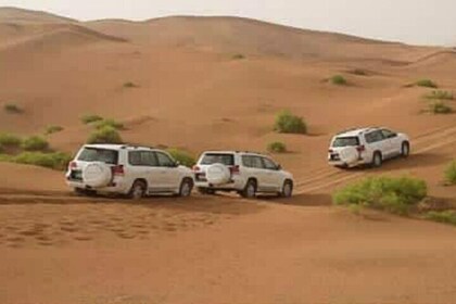 Agadir Day Excursion to Mini Sahara safari National Park Souss Massa by 4x4