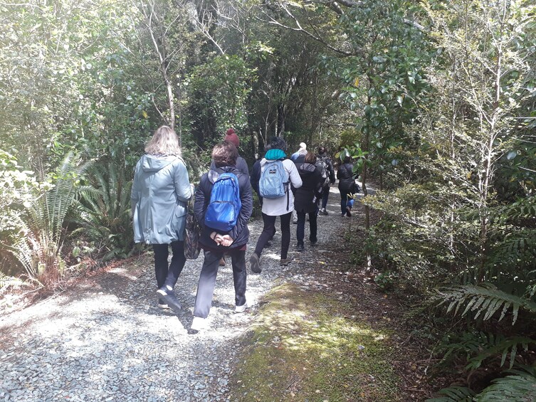Guided Airplane Flight Over Milford Sound with Bush Walk