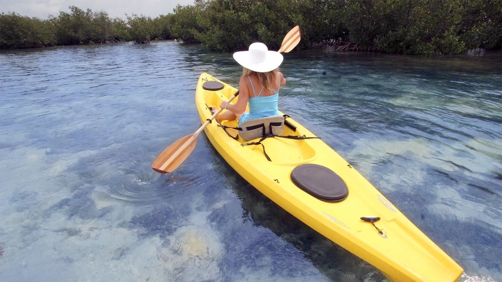 View of the Backcountry Kayak Tour in the Florida Keys - Key West, FL