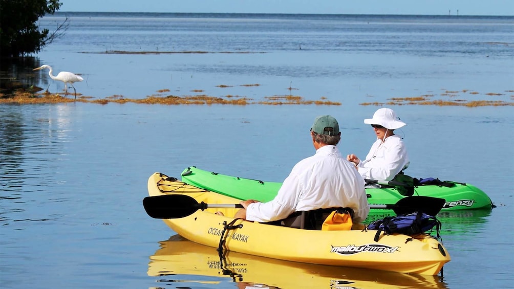 Couple enjoying a relaxing view on the Backcountry Kayak Tour in the Florida Keys - Key West, FL