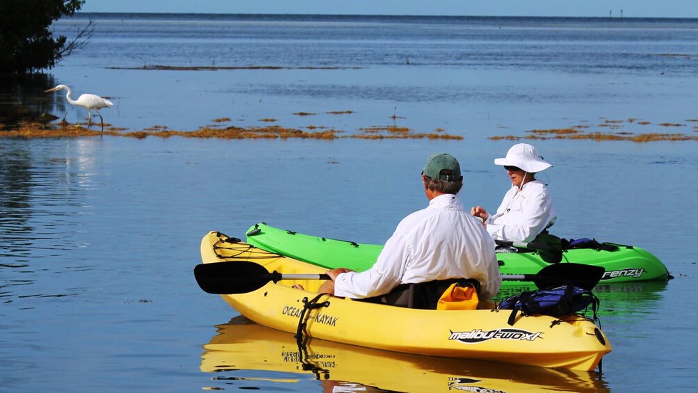 Two kayakers resting on the water in Florida Keys