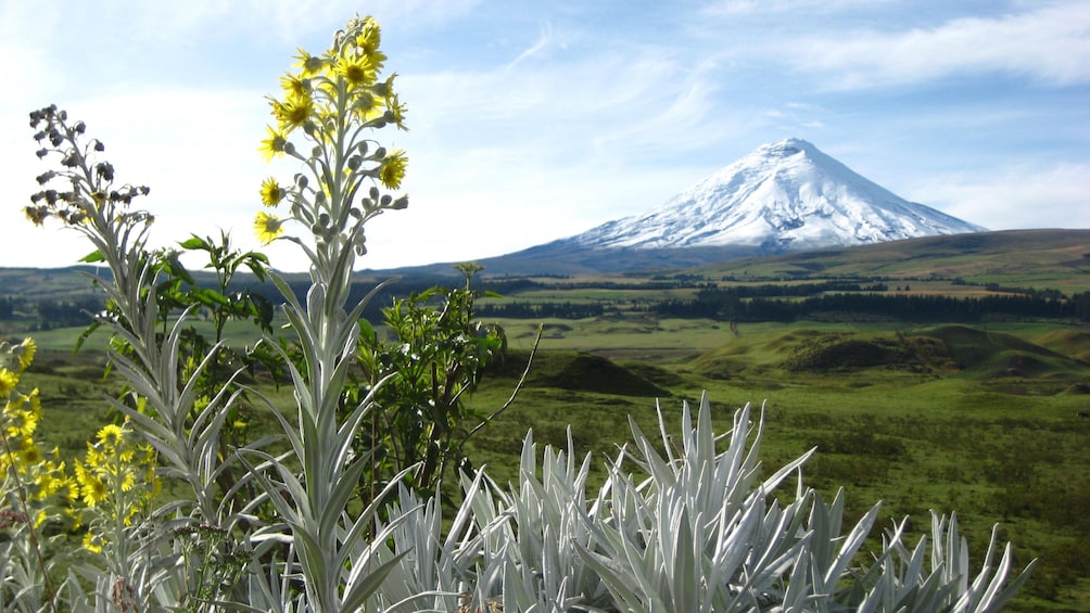 Beautiful view of rolling foothills and Cotopaxi Volcano in Quito