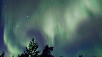 Indlæs billede 1 af 5. Breathtaking view on the Northern Lights Tour in Stockholm Greater Area, Sweden