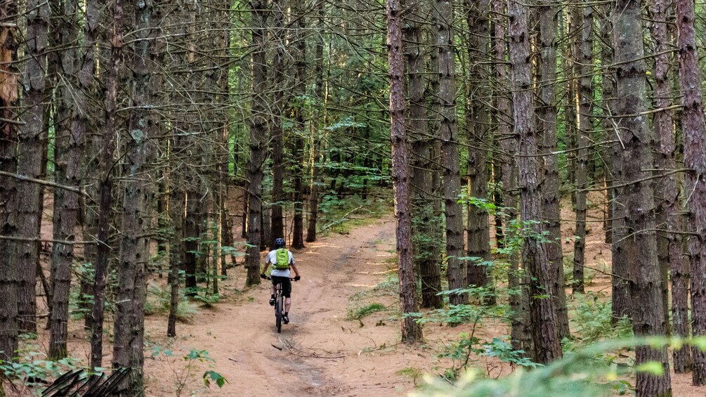 Bicyclist on a forest path in Vermont