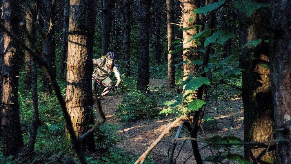 Bicyclist on a path through the trees in Vermont