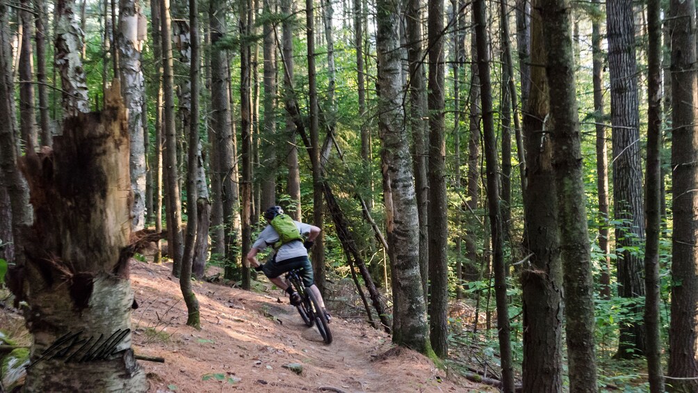 Bicyclist on a forest path in Vermont