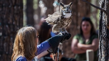 Bearizona Wildlife Park Tickets