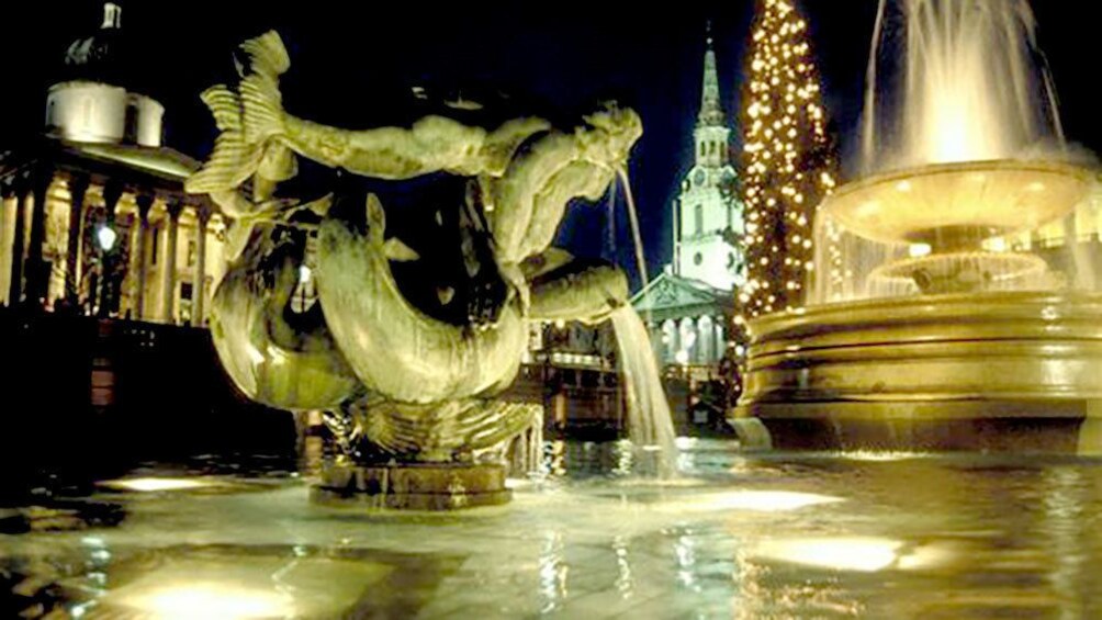 Fountain at night with Xmas tree