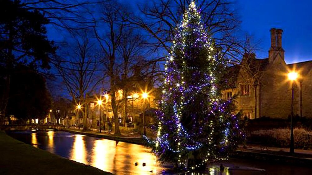 London at night with a Xmas tree