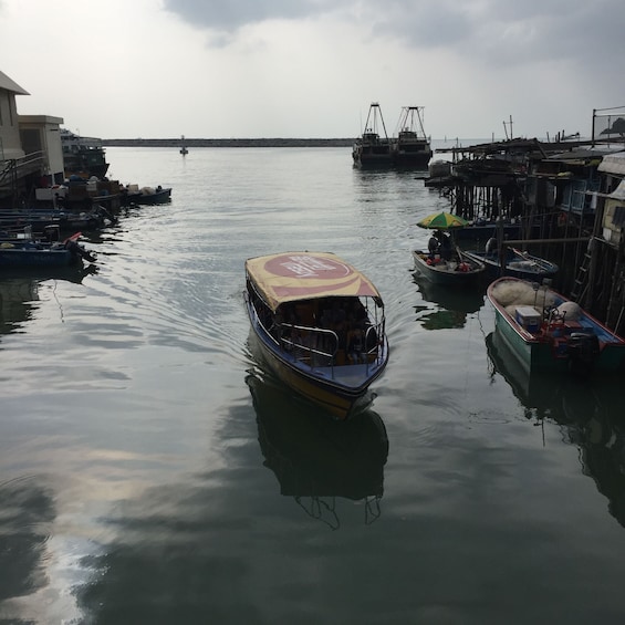 Show item 5 of 10. Lantau Island Tour with Big Buddha, Tai O Boat Ride & Lunch