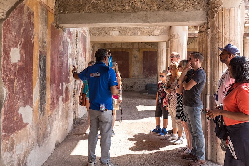 Pompeii Guided Tour with Skip The Line Access