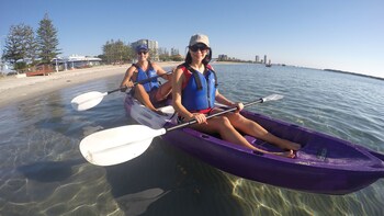 Half-Day Dolphin Kayaking & Stradbroke Island Tour