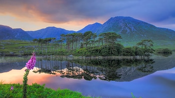 Connemara, Kylemore Abbey & National Park Tour from Galway