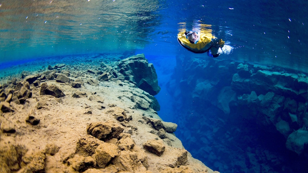 Snorkeler in Reykjavik