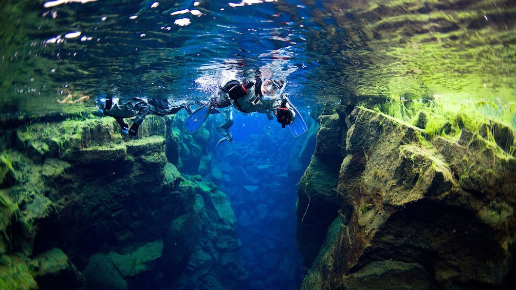 Snorkeling group in Reykjavik