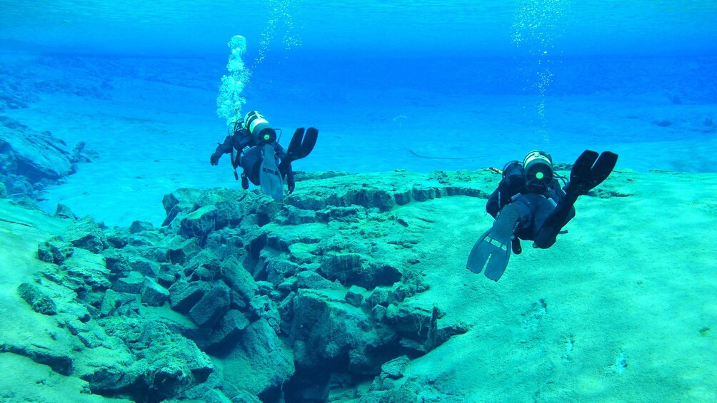 Scuba divers along the ocean floor in Reykjavik