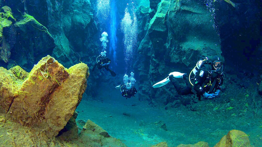 Scuba diving group in Arctic waters