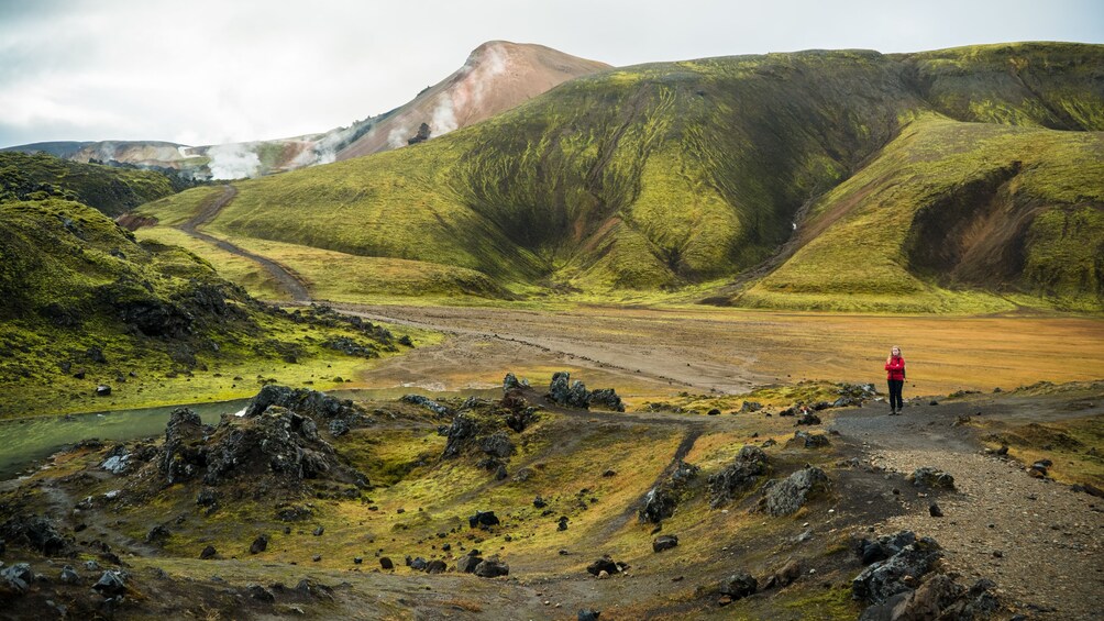 Small Group Landmannalaugar Hiking Tour