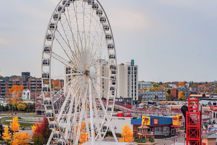 Niagara Falls Day Tour from Toronto with Buffet Lunch & Boat