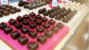 Hobart's Café Culture Tour with Tastings