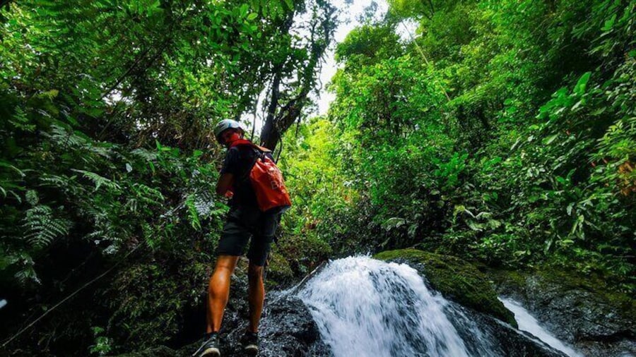 Jungle Hike with Canyoning and Rappelling in Drake Bay
